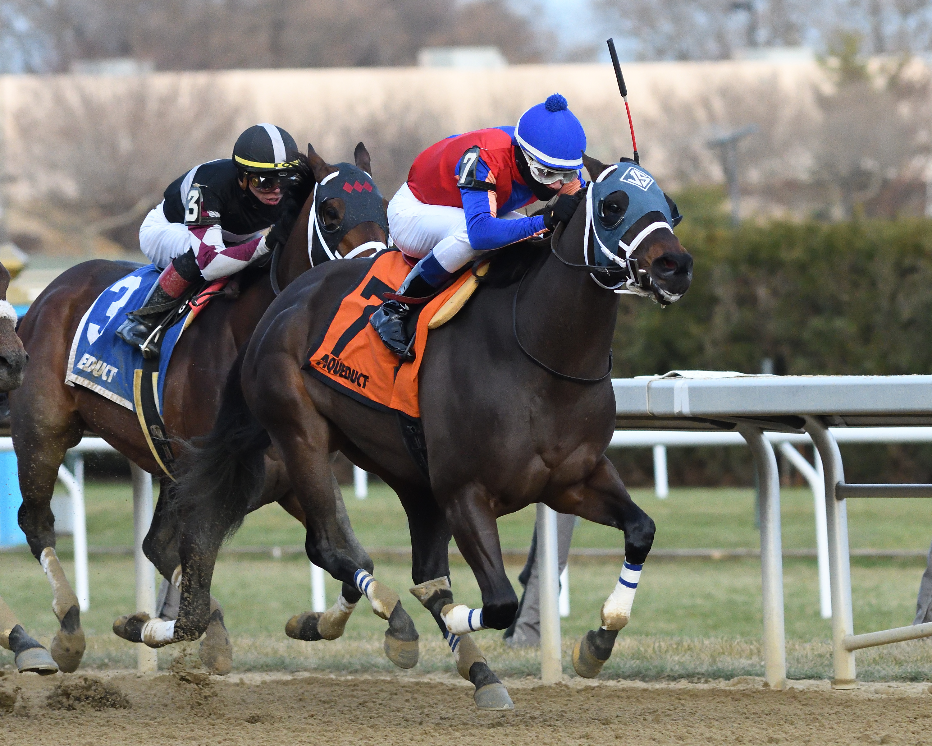 Happy Farm wins the 2019 Fall Highweight Handicap
