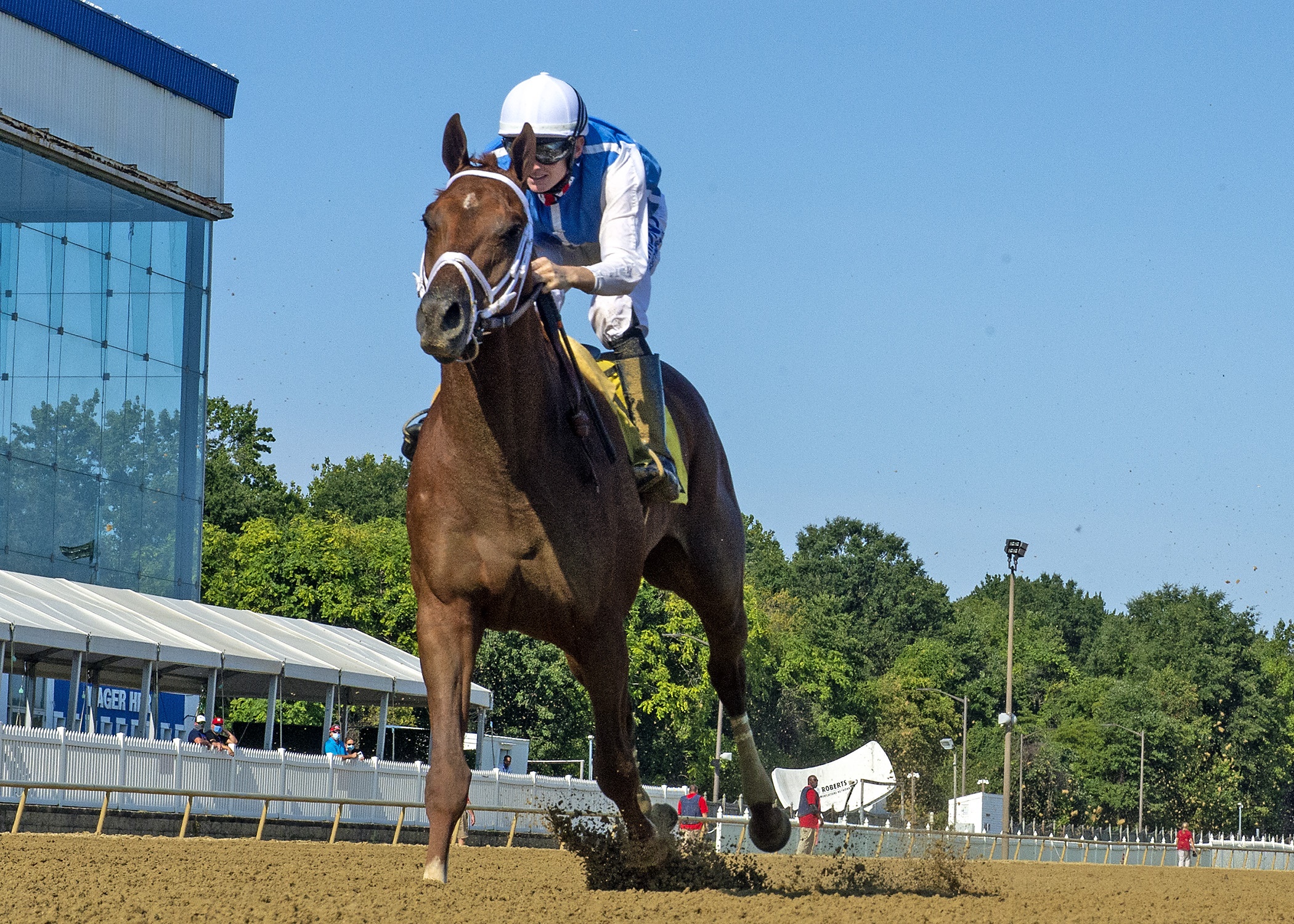 Happy Saver/Tesio