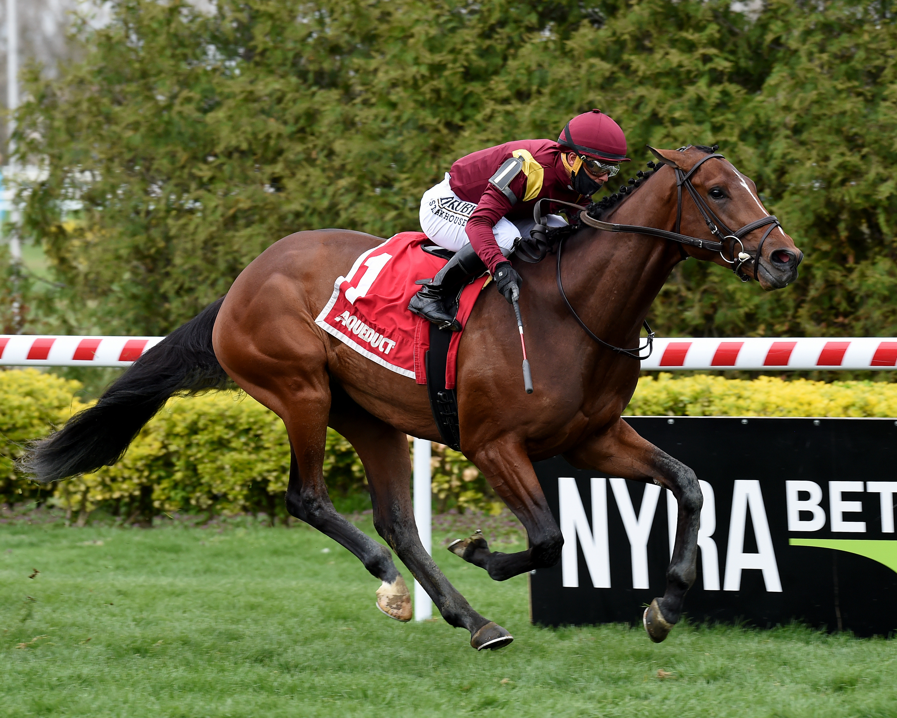 Hard Love wins the Woodhaven 4-17-2021