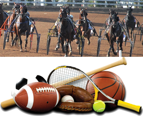 Harness Racing & Sports Betting 3-5-22