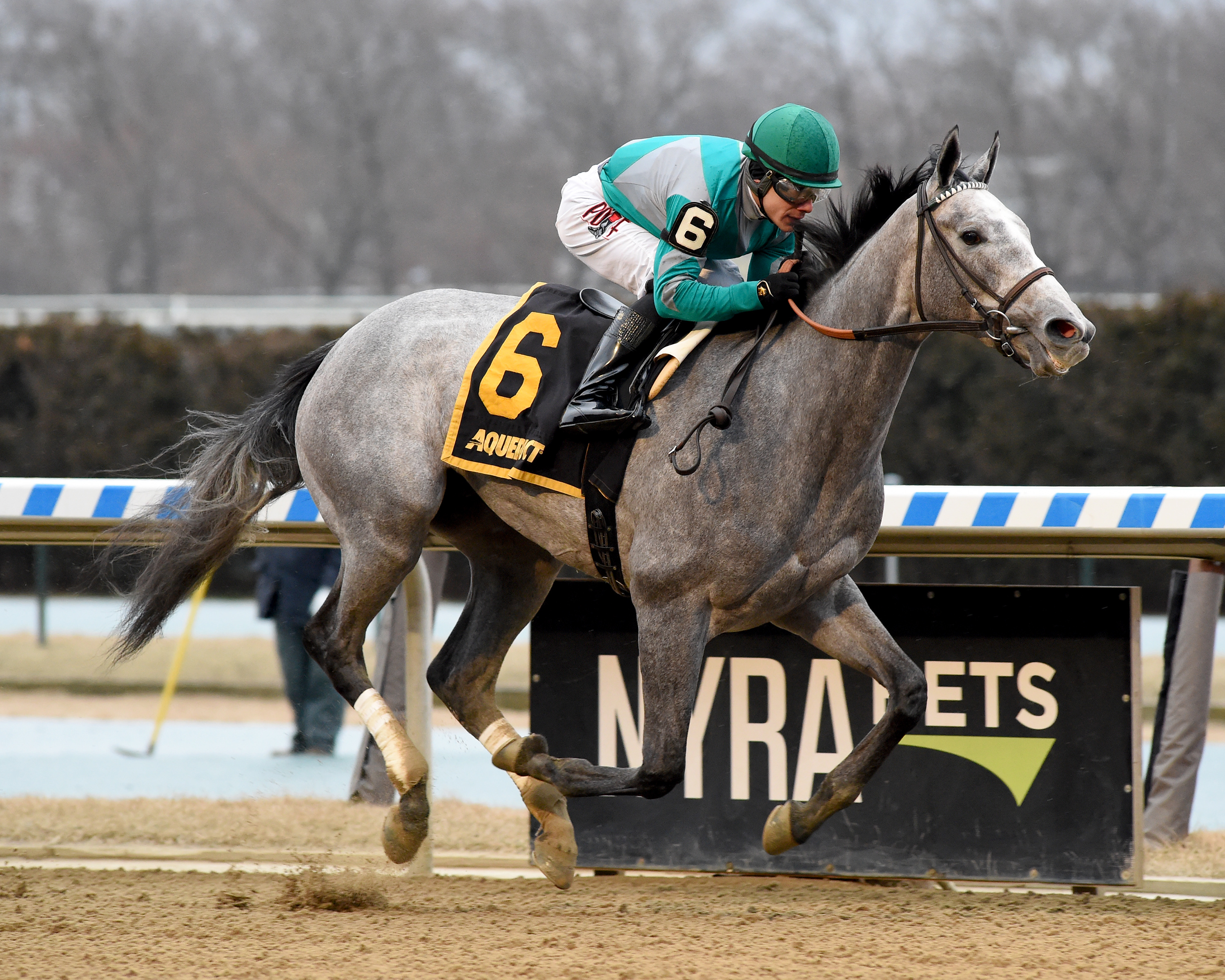 Harveys Lil Goil wins the 2020 Busanda Stakes