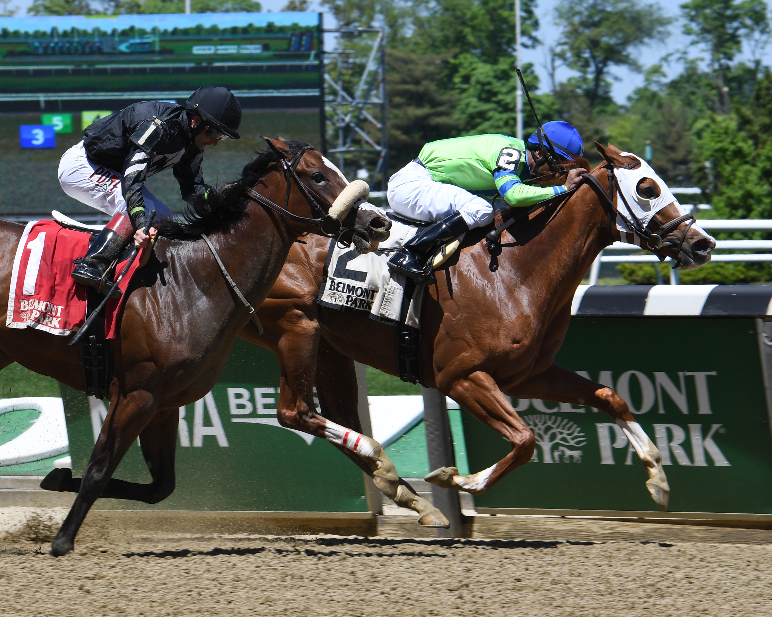 Heavenhasmynikki defeats Pacific Gale in the 2019 Vagrancy