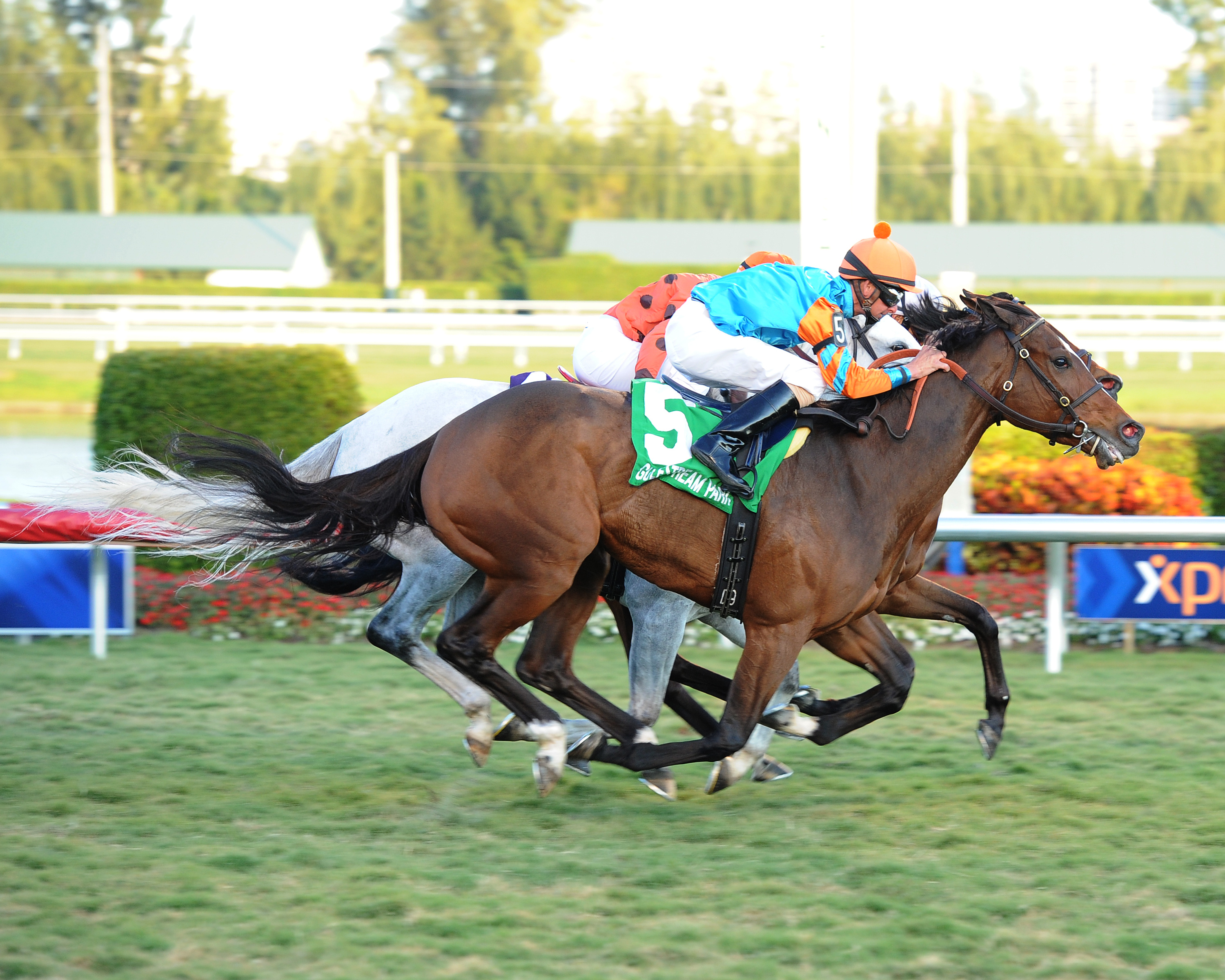 Heavenly Landing 1-7-2012