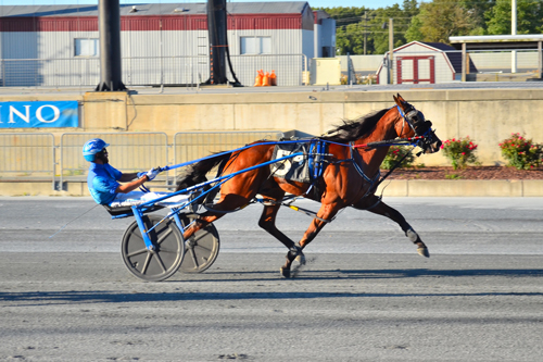 Heinikin Bythebay 9-27-21