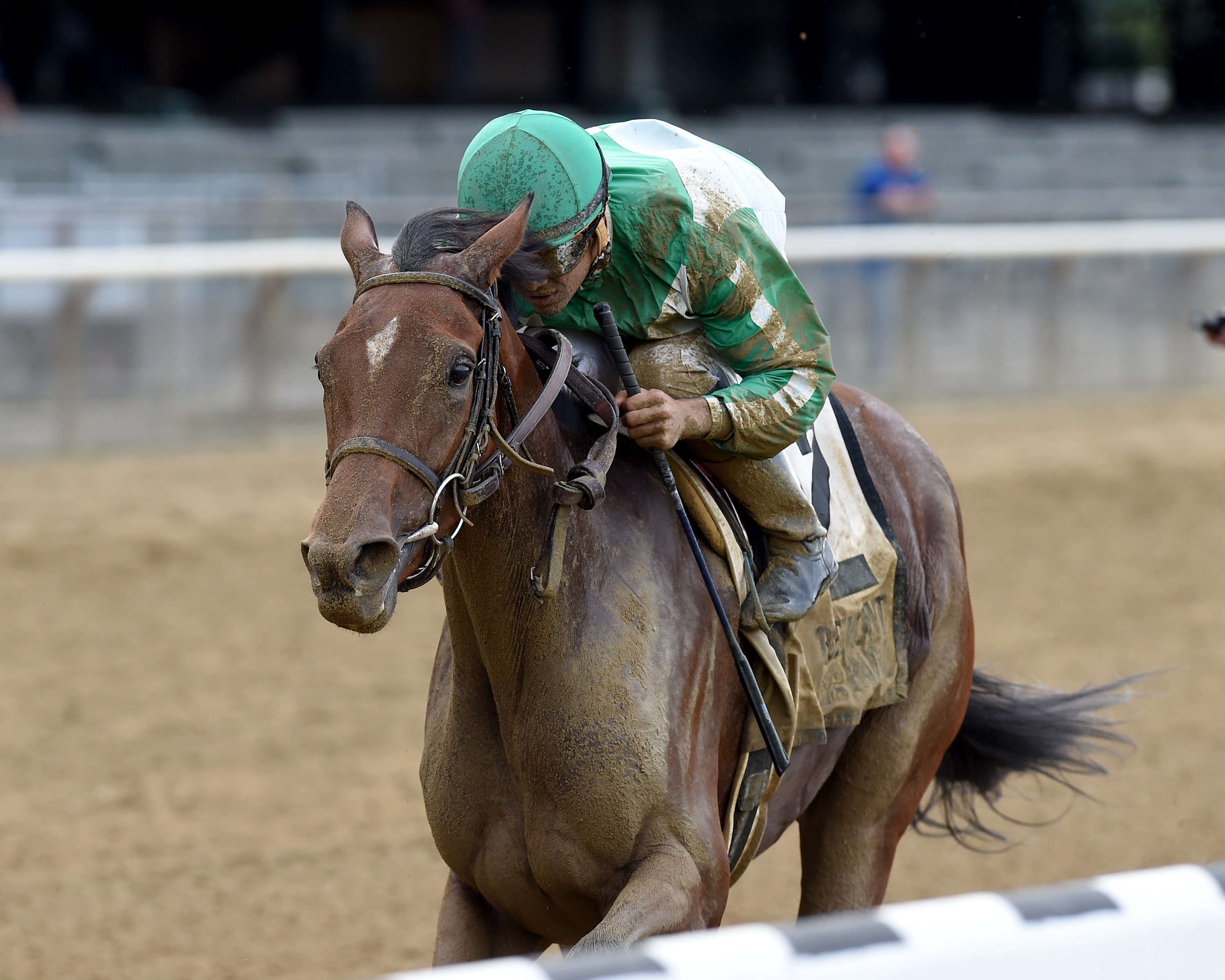 Held Accountable wins the 2017 Joseph A. Gimma