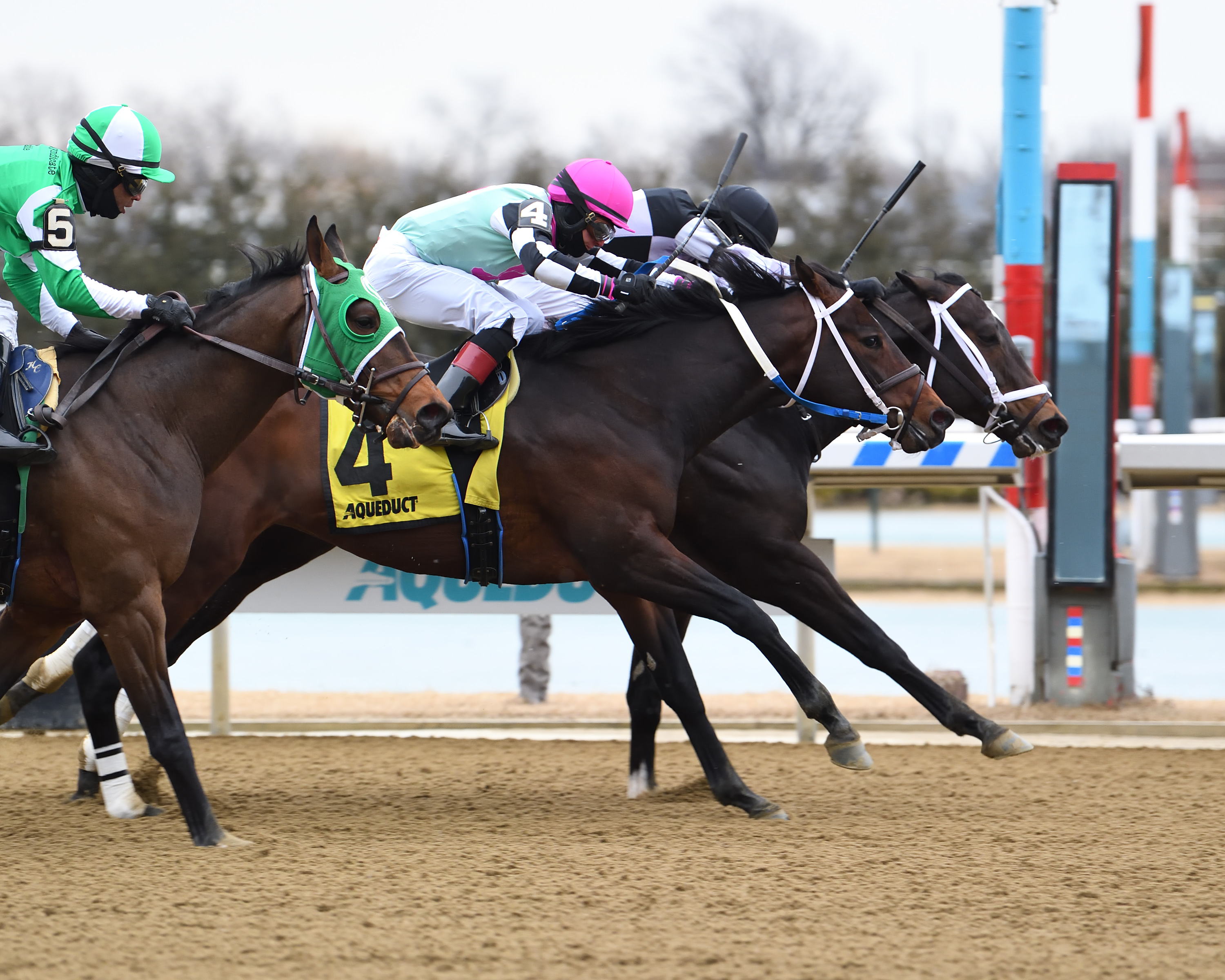 Hello Hot Rod wins Jimmy Winkfield 1-31-2021