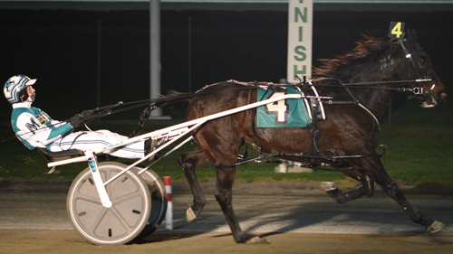 Hesa Kingslayer N 3-29-21