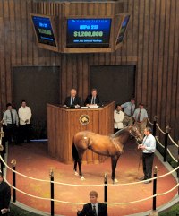 Hip 217