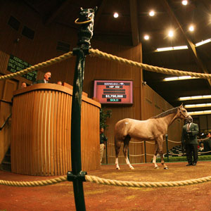Hip 432