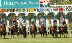 Hollywood Park