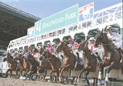 Hollywood Park