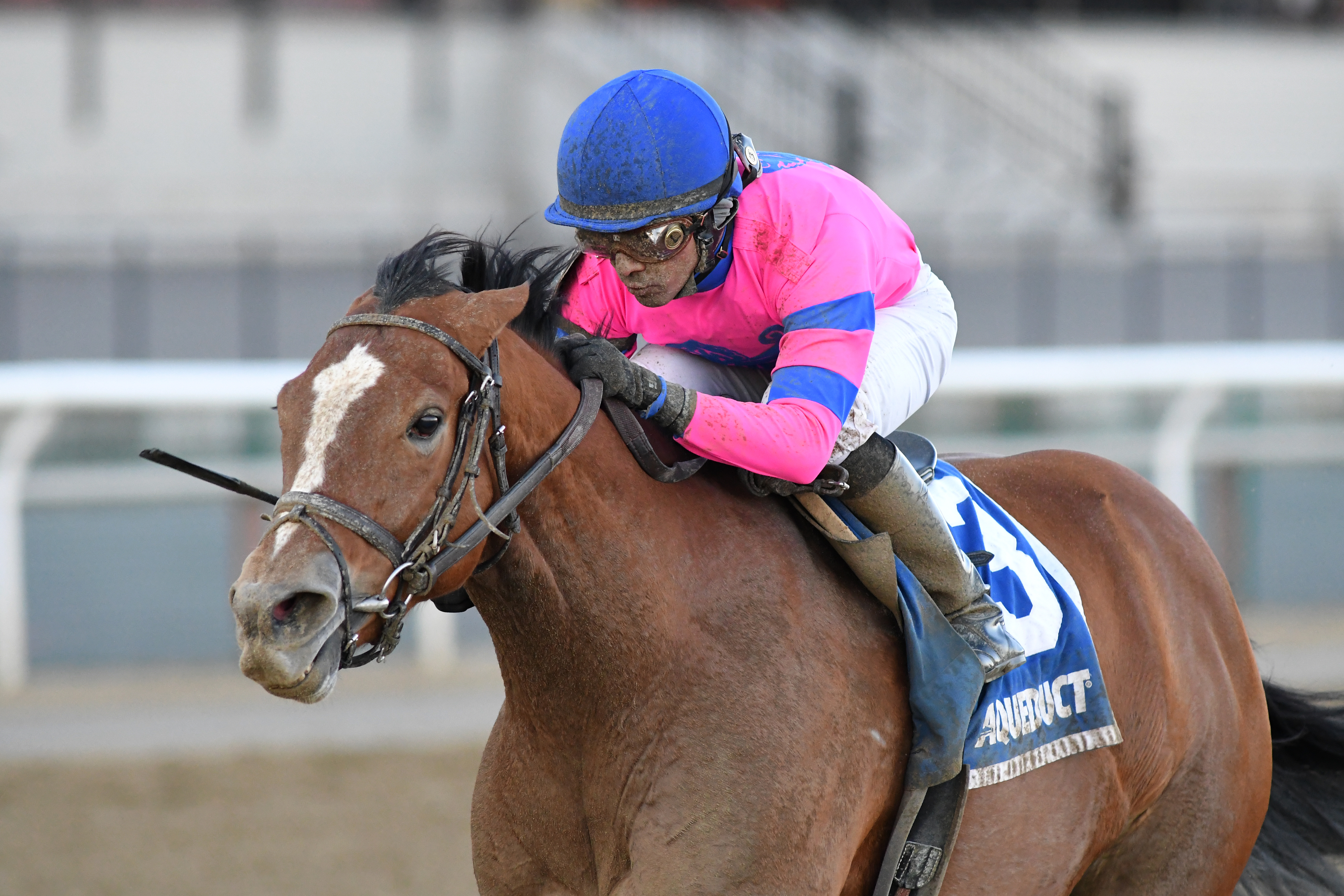 Holiday Disguise wins 2019 Broadway Stakes