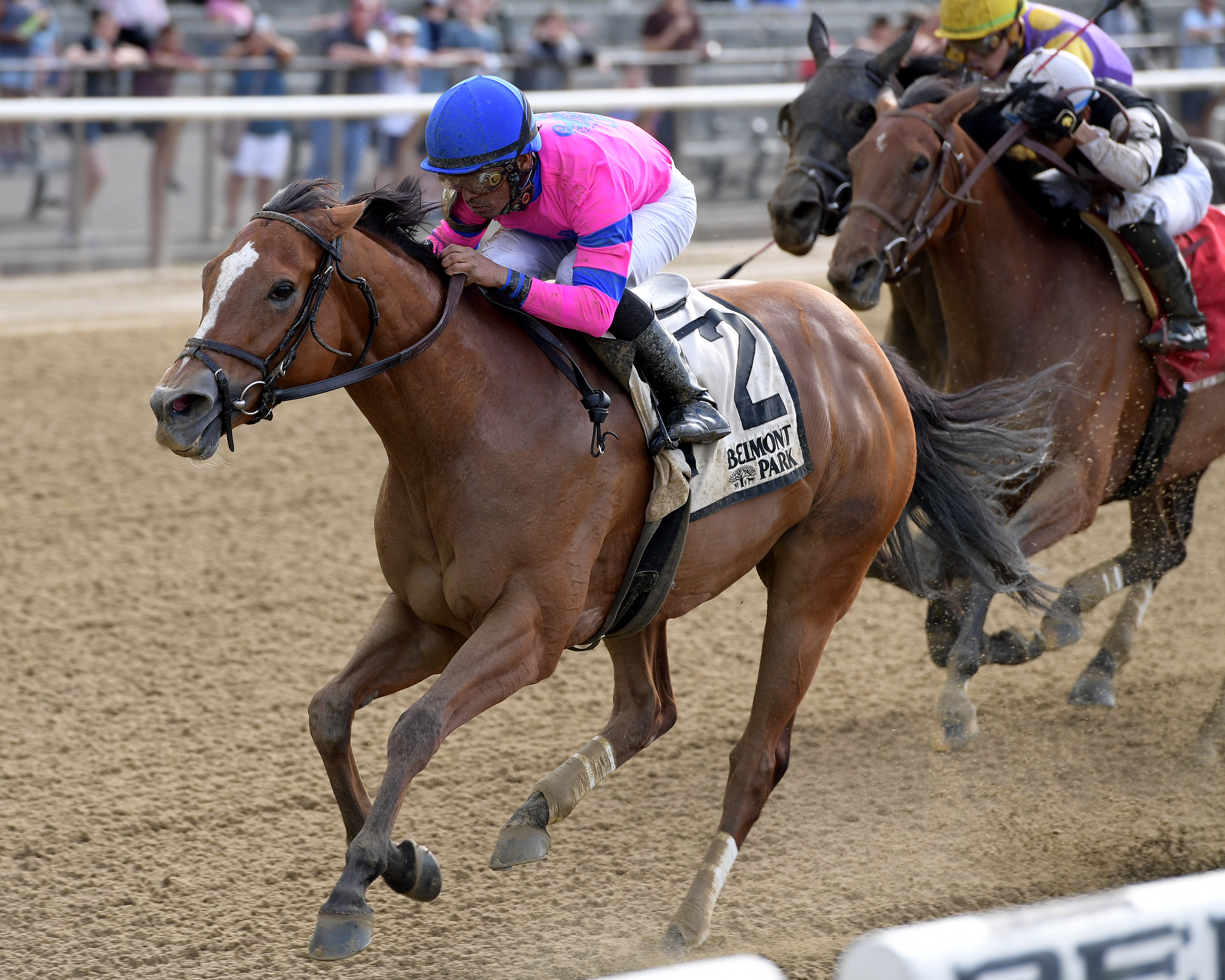 Holiday Disguise wins the 2019 Dancin Renee Stakes