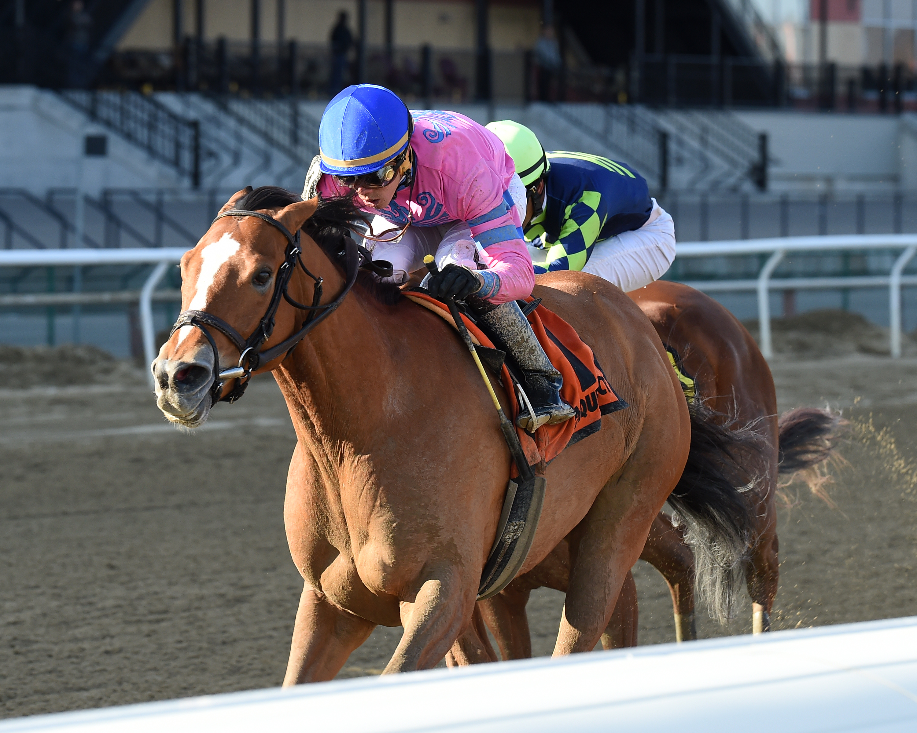 Holiday Disguise wins the 2018 Distaff Handicap