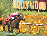 Hollywood Park
