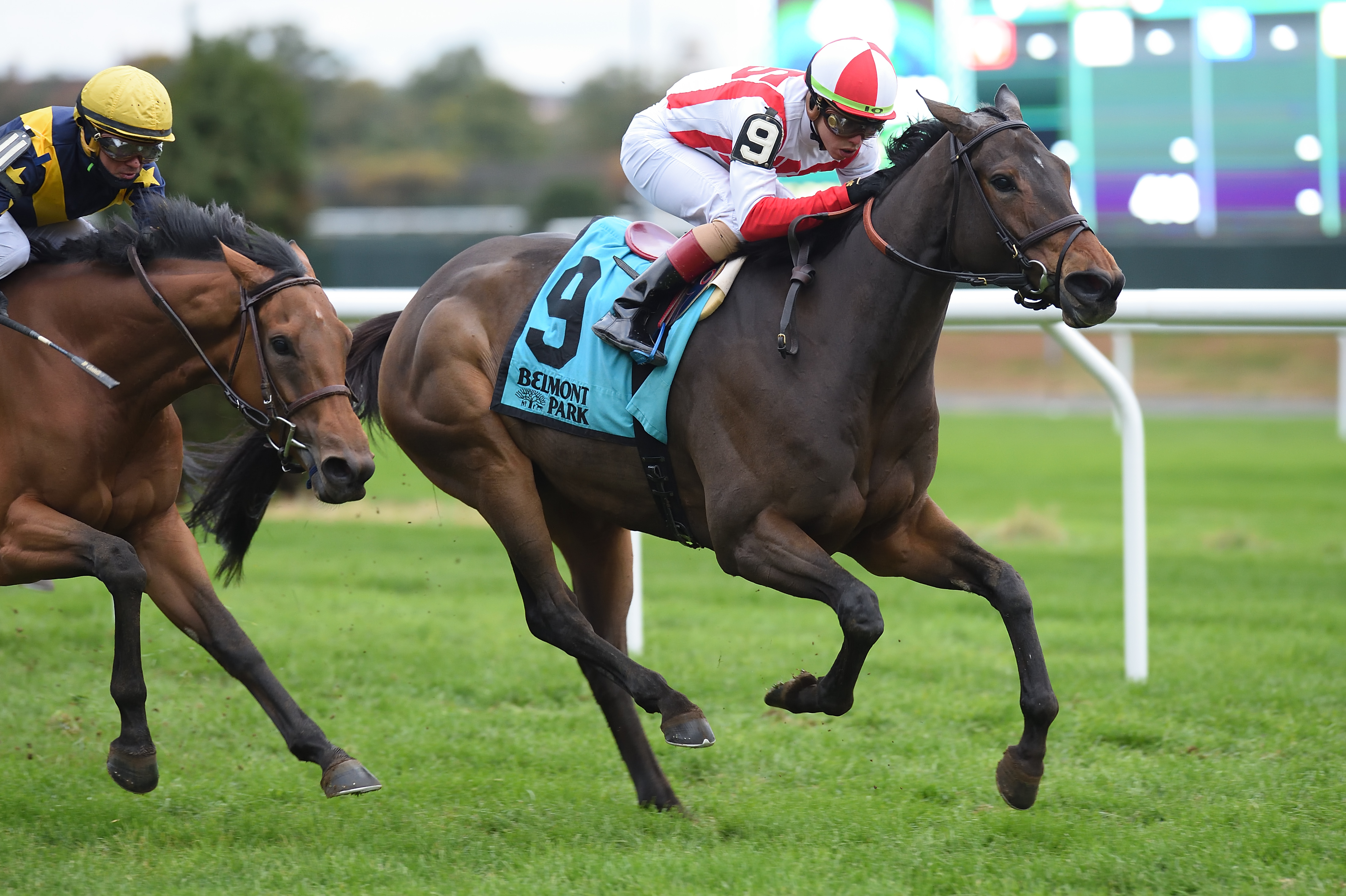 Homeland Security wins the 2018 Zagora Stakes