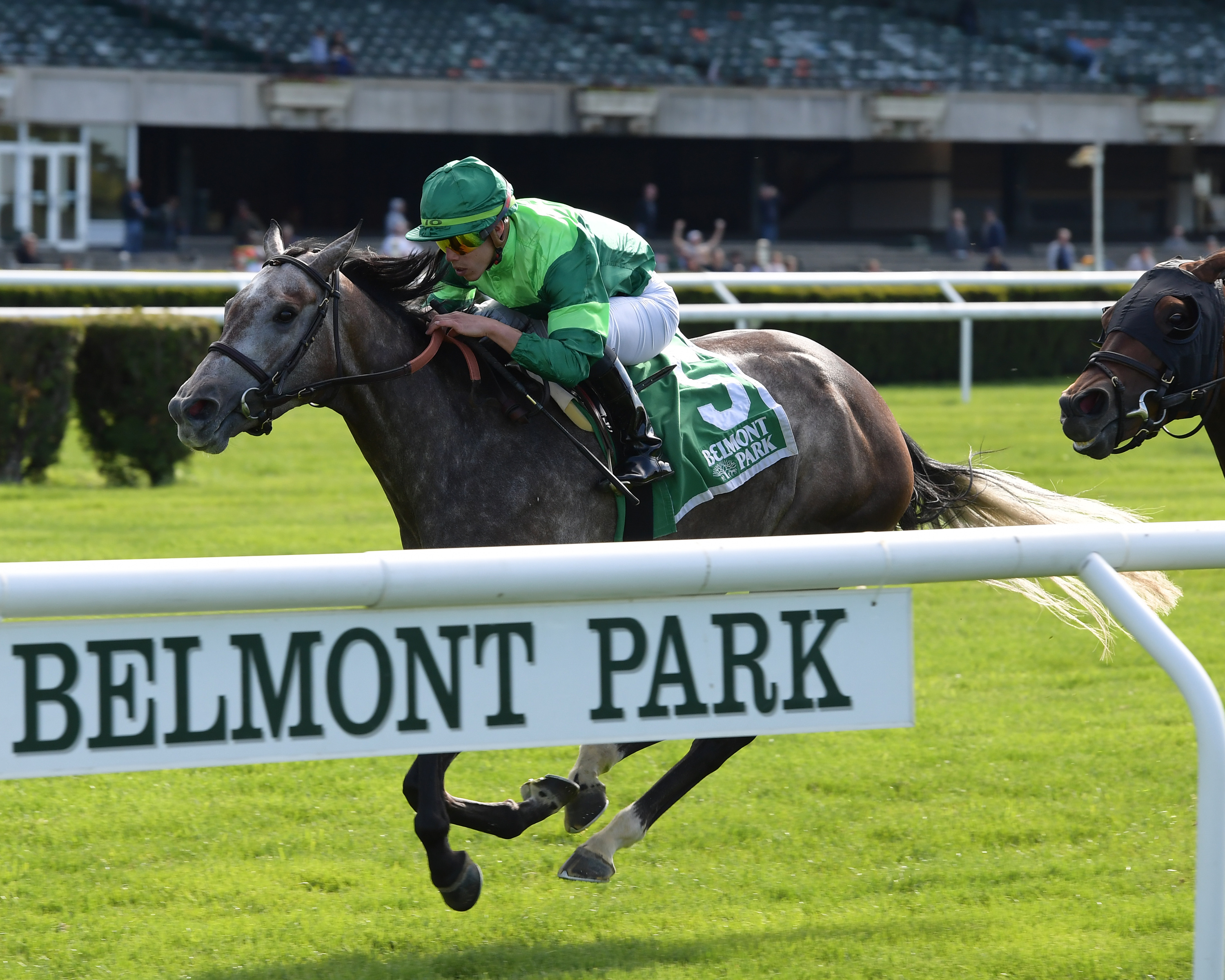 Homerique wins the 2019 Beaugay Stakes