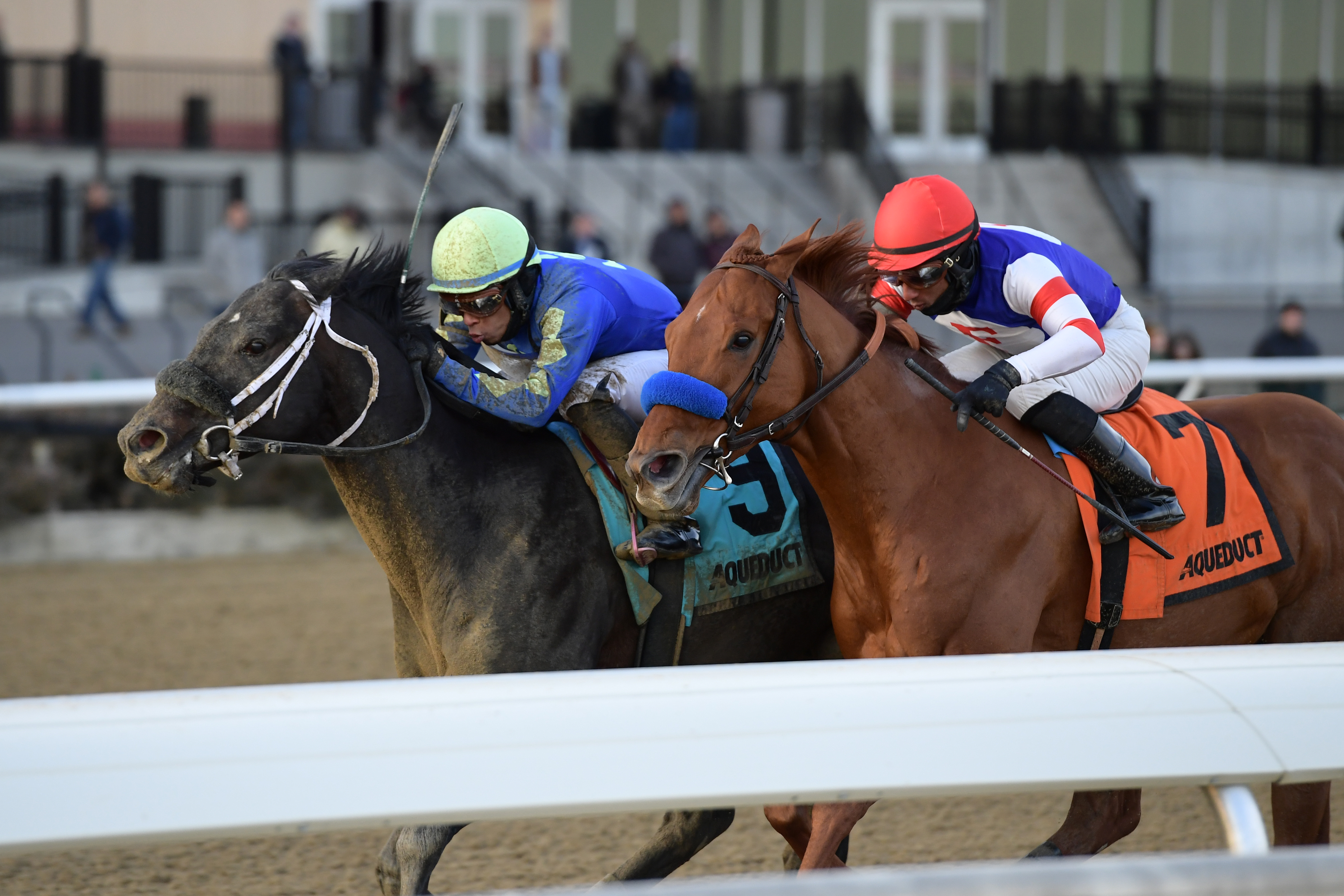 Honor Up (left) wins the 2019 Say Florida Sandy Stakes