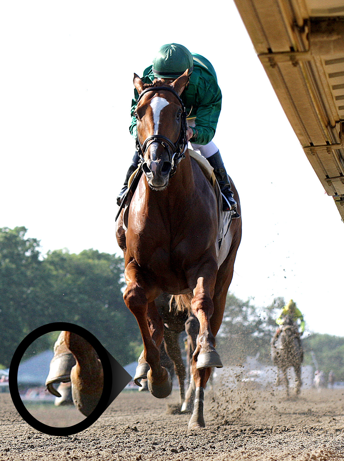 Timeline wins the Pegasus with sprung shoe