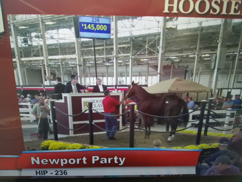 Hoosier Classic Yearling Sale 10/21/17