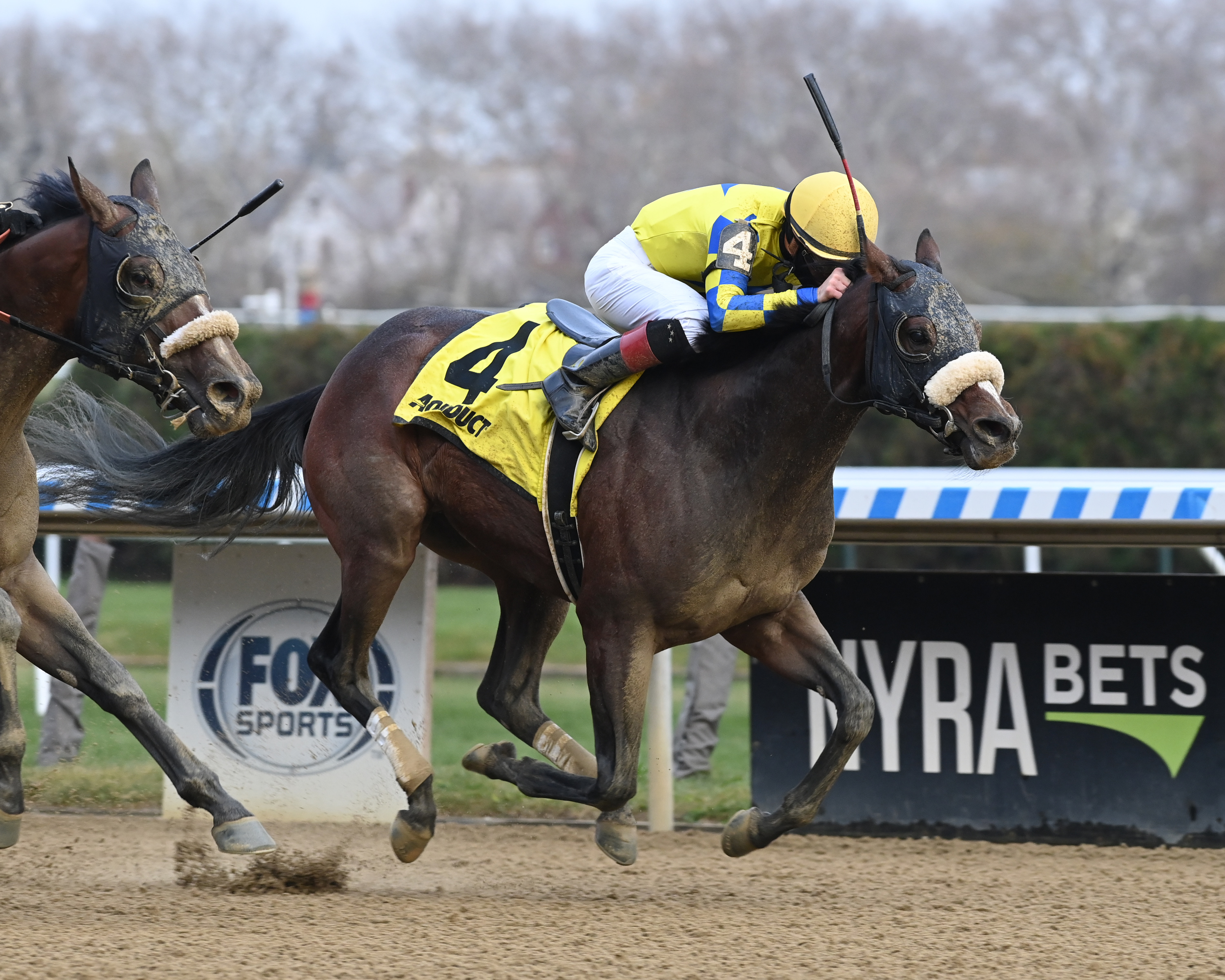Hopeful Treasure wins Fall Highweight 11-28-2021