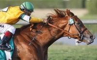 Horse Greeley