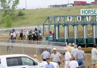 Horsemen's Park