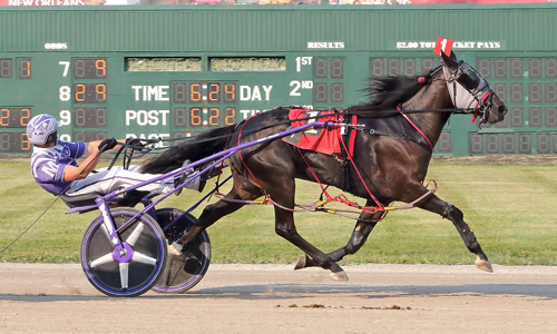 Hotshot Temptress 7-24-21