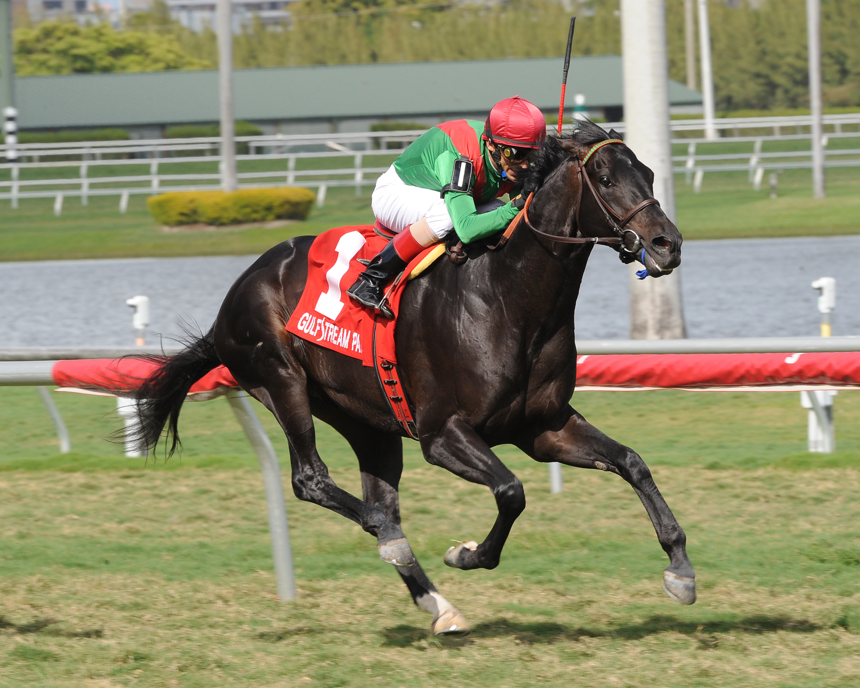 Howe Great 3-11-2012