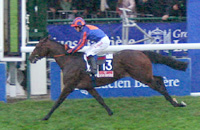 Hurricane Run