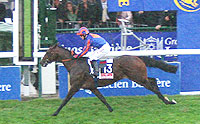 Hurricane Run