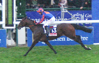 Hurricane Run