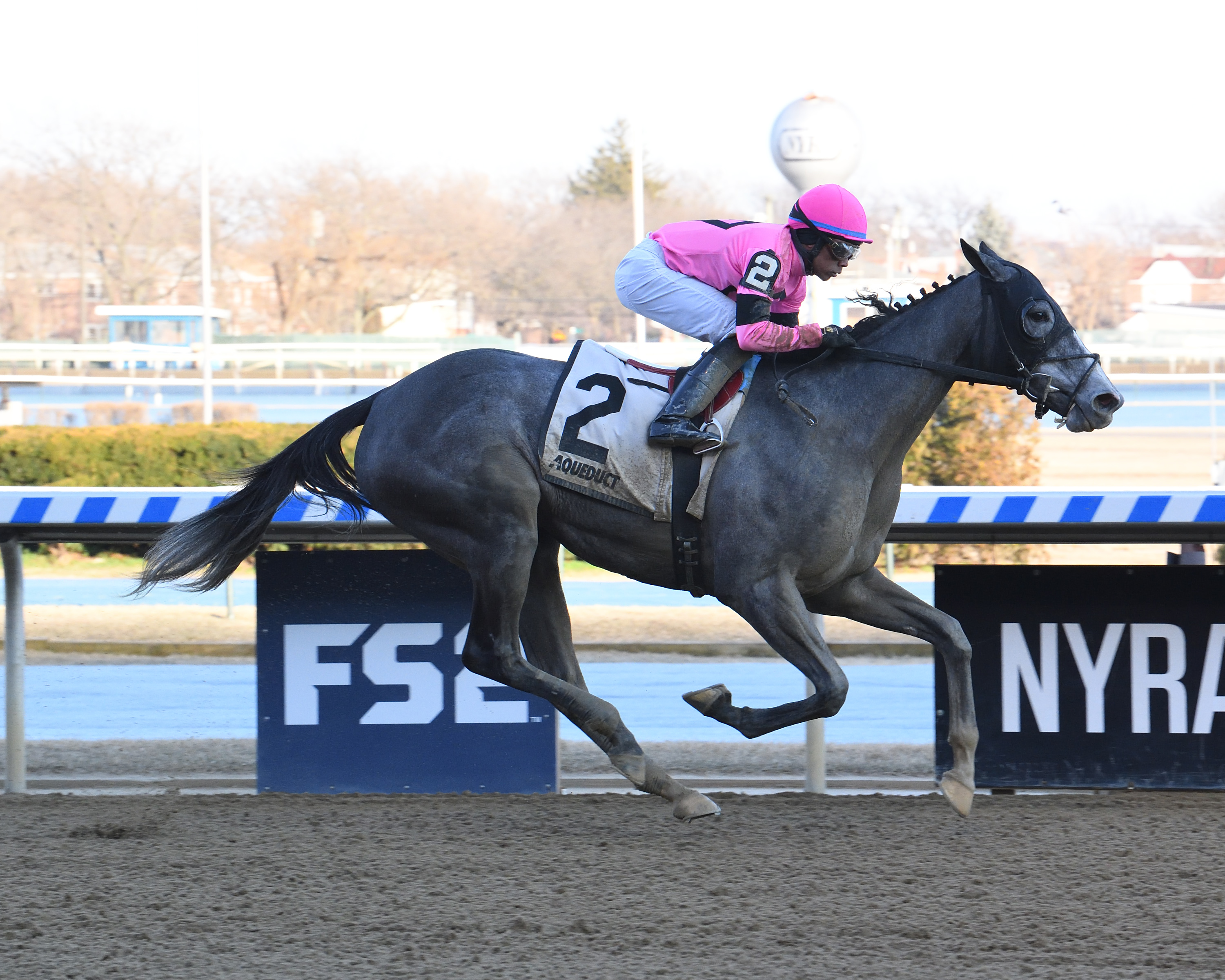 Ice Princess wins the 2020 Maddie May Stakes