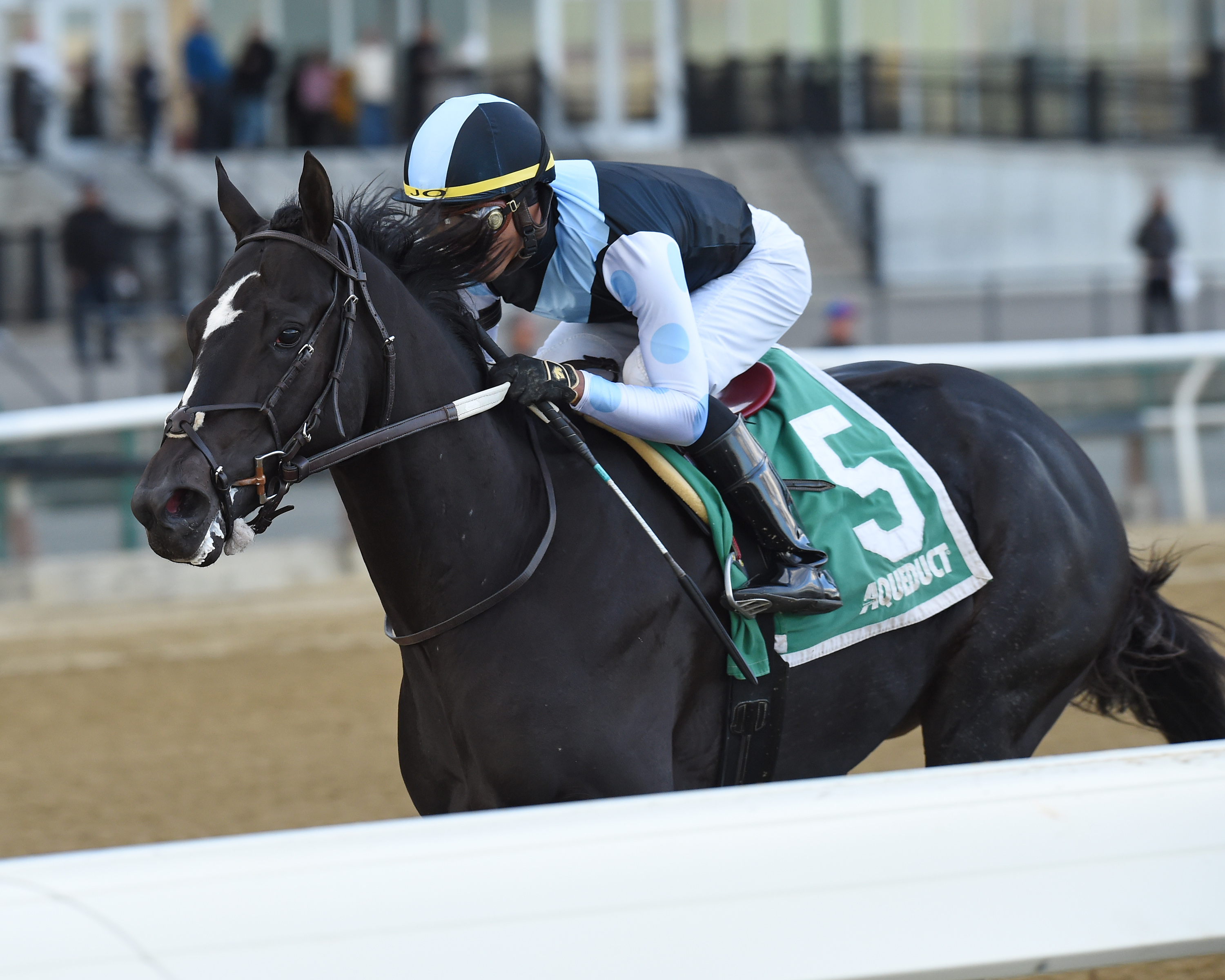 Independence Hall wins the 2019 Nashua Stakes