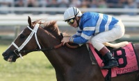 Indy Five Hundred