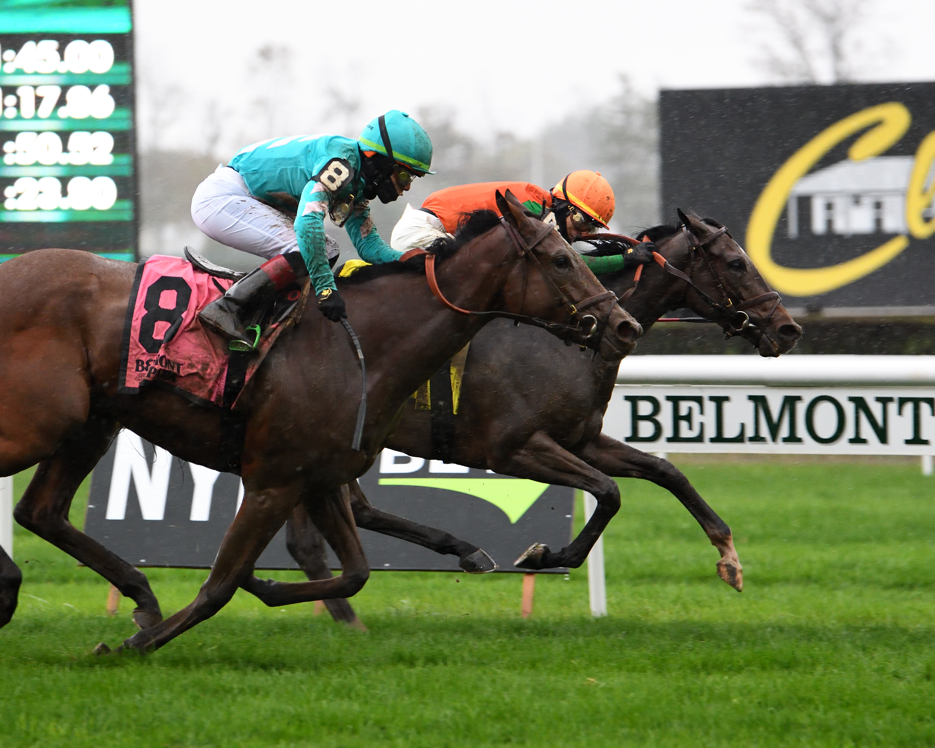 Ingrassia wins Chelsey Flower 11-01-2020