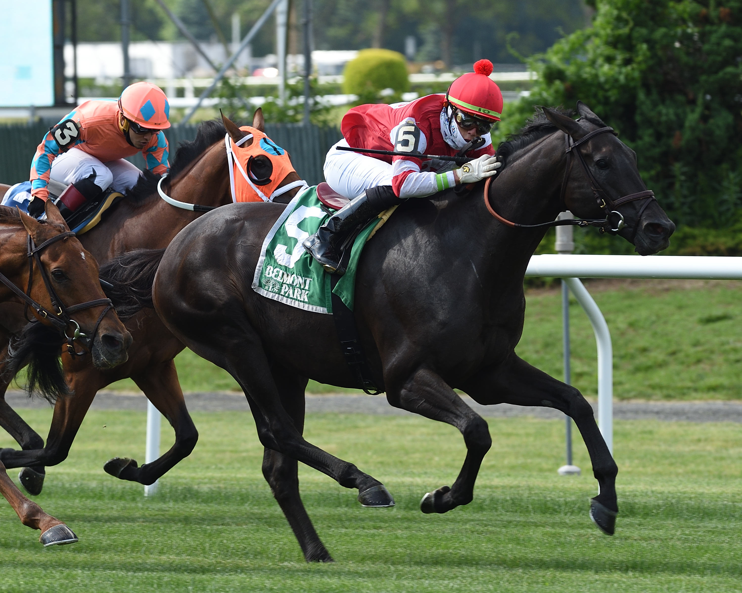 Instilled Regard/Fort Marcy