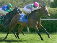 Intercontinental