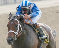 Invasor