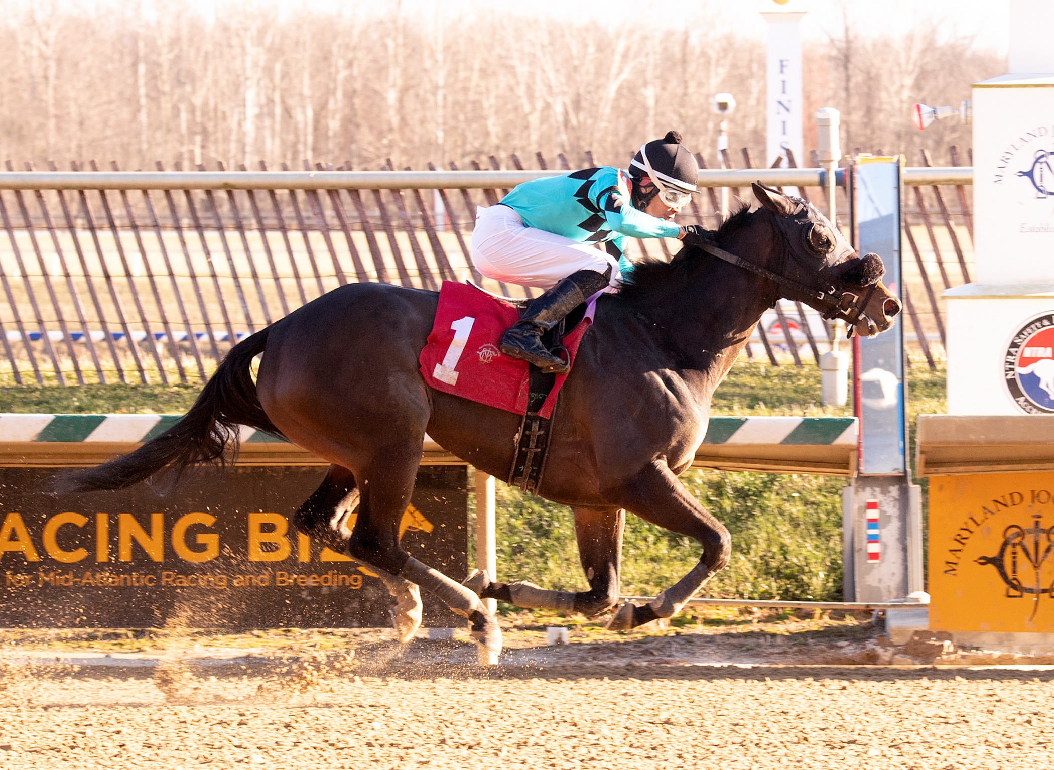 Isotope wins 2018 Thirty Eight Go Go Stakes