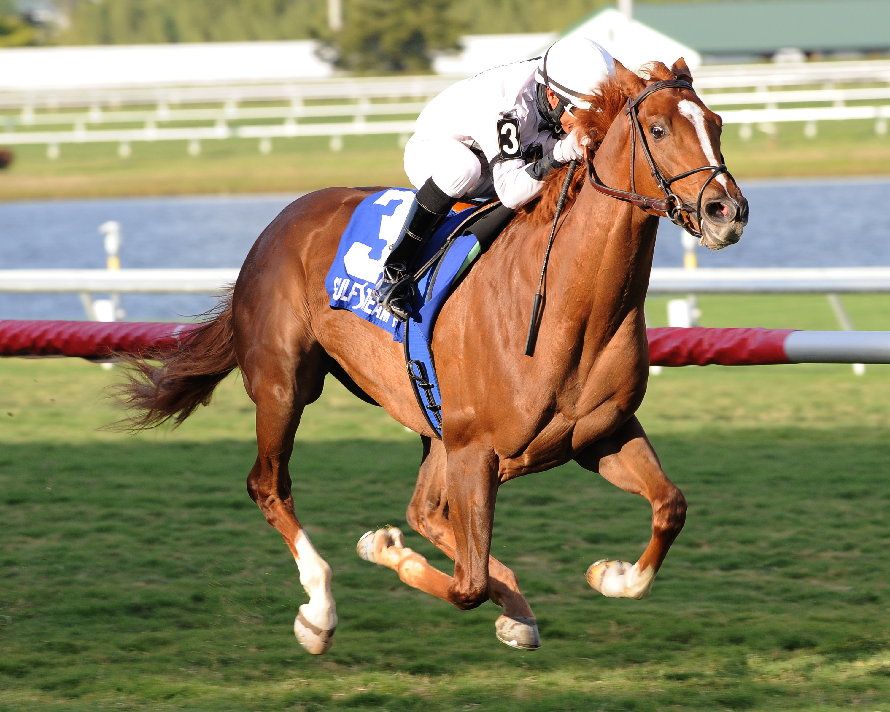 Joes Blazing Aaron/Palm Beach Stakes