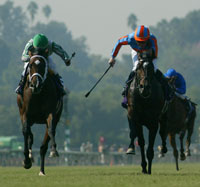 Johan & High Chaparral
