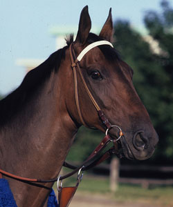 John Henry