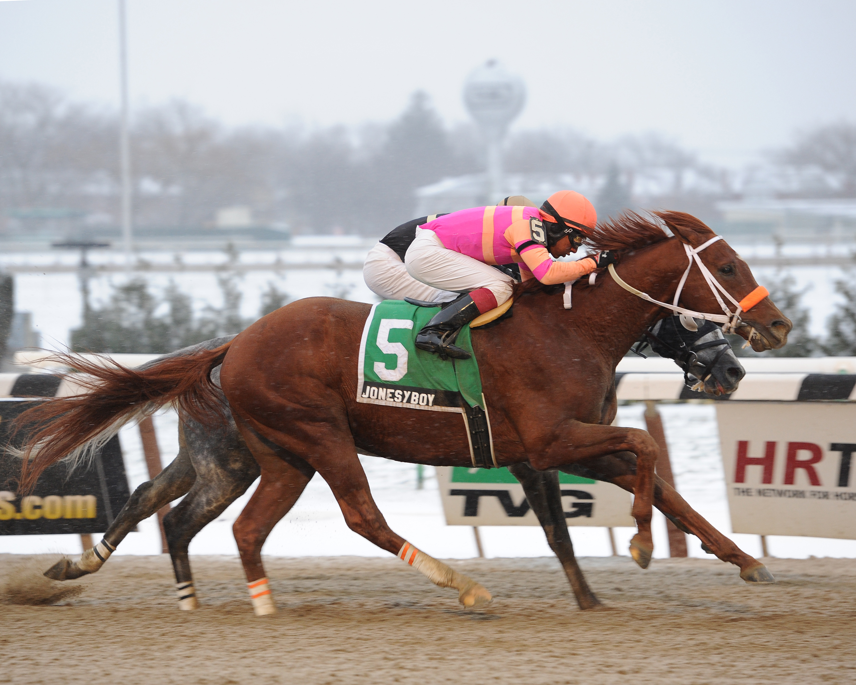 Jonesy Boy 12-14-2013