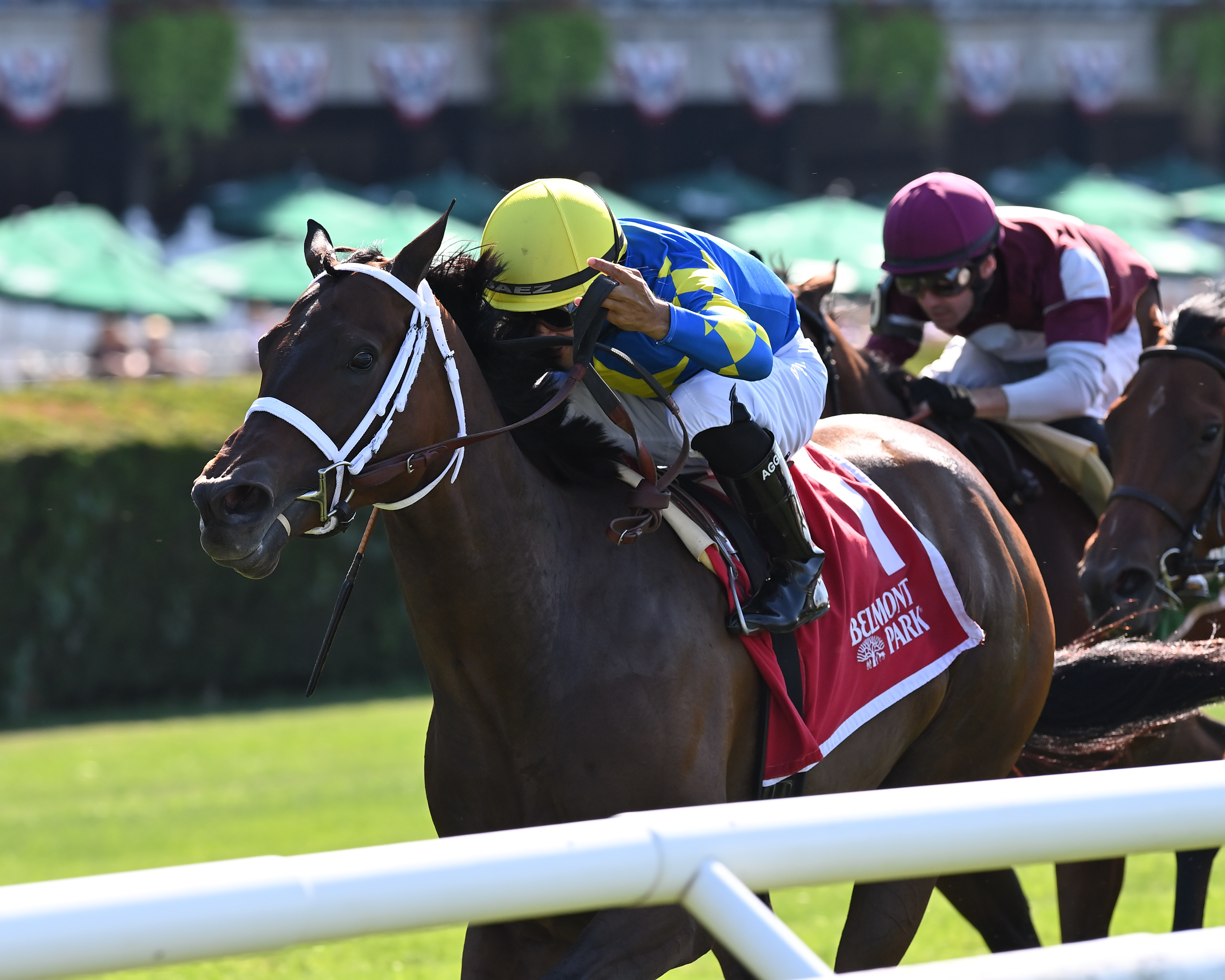 Jouster/Perfect Sting
