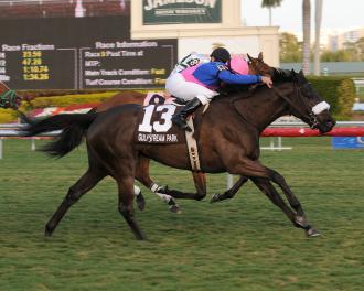 Justaroundmidnight wins Marshua's River