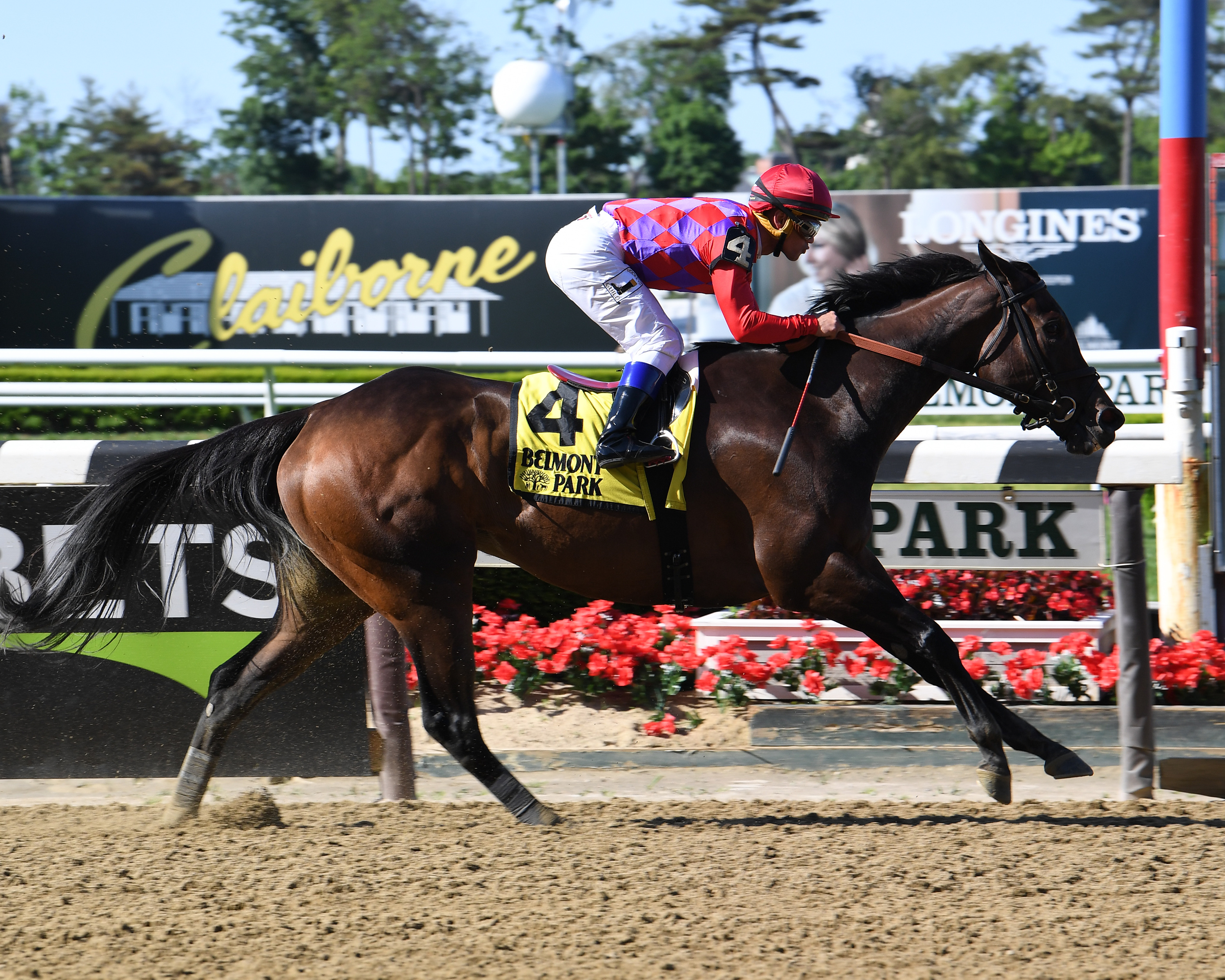 Kathryn the Wise wins the 2019 Critical Eye Stakes
