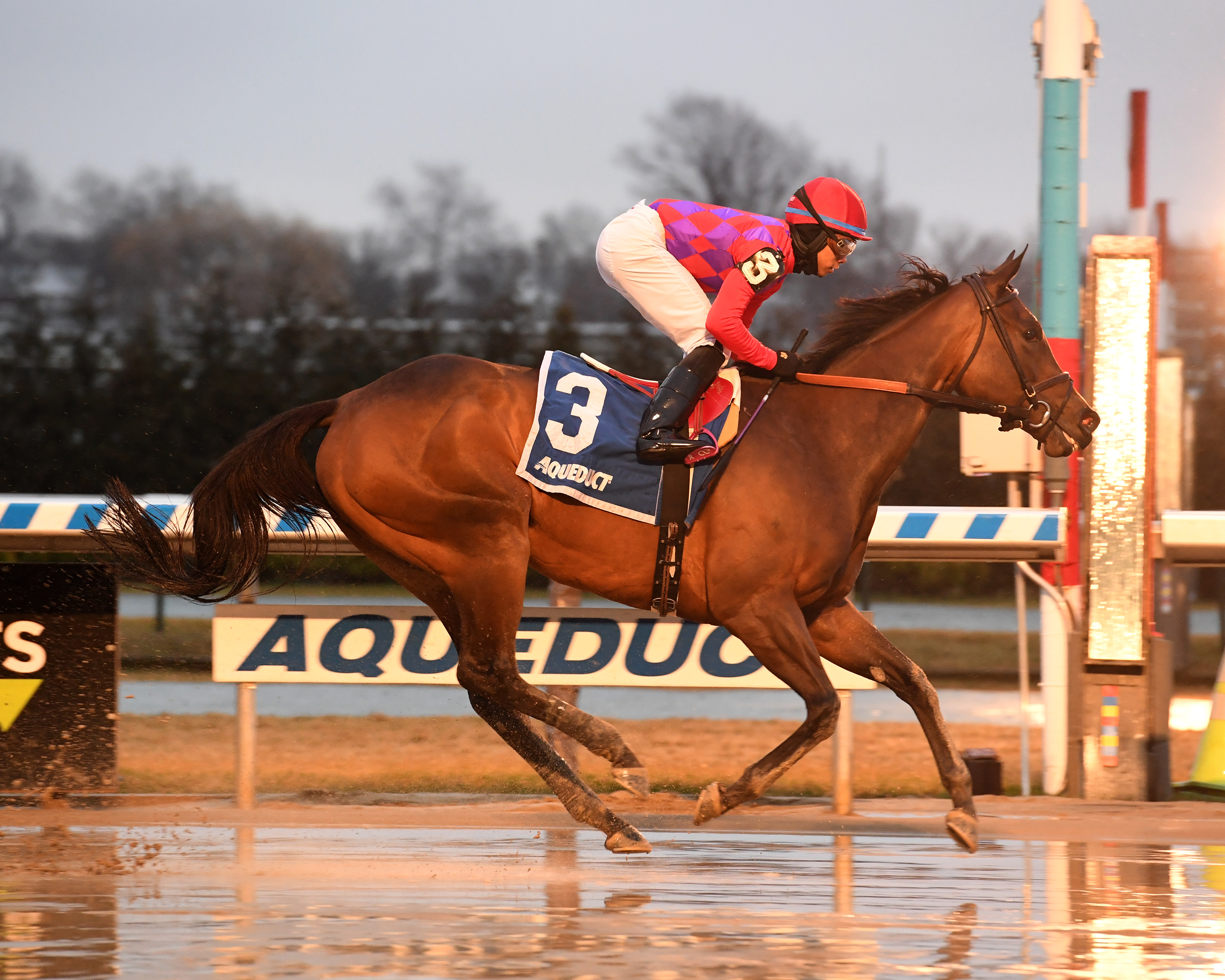Kathryn the Wise wins 2018 La Verdad