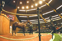 Keeneland September sale