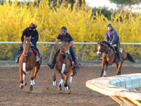 Keeneland